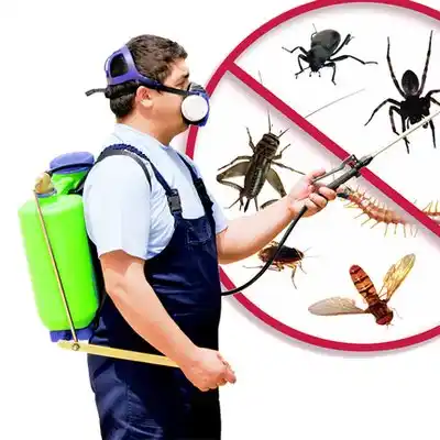 pest control Newaygo